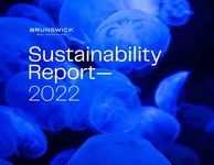 2022 Brunswick Sustainability Report